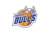 BUDAPEST BULLS Team Logo